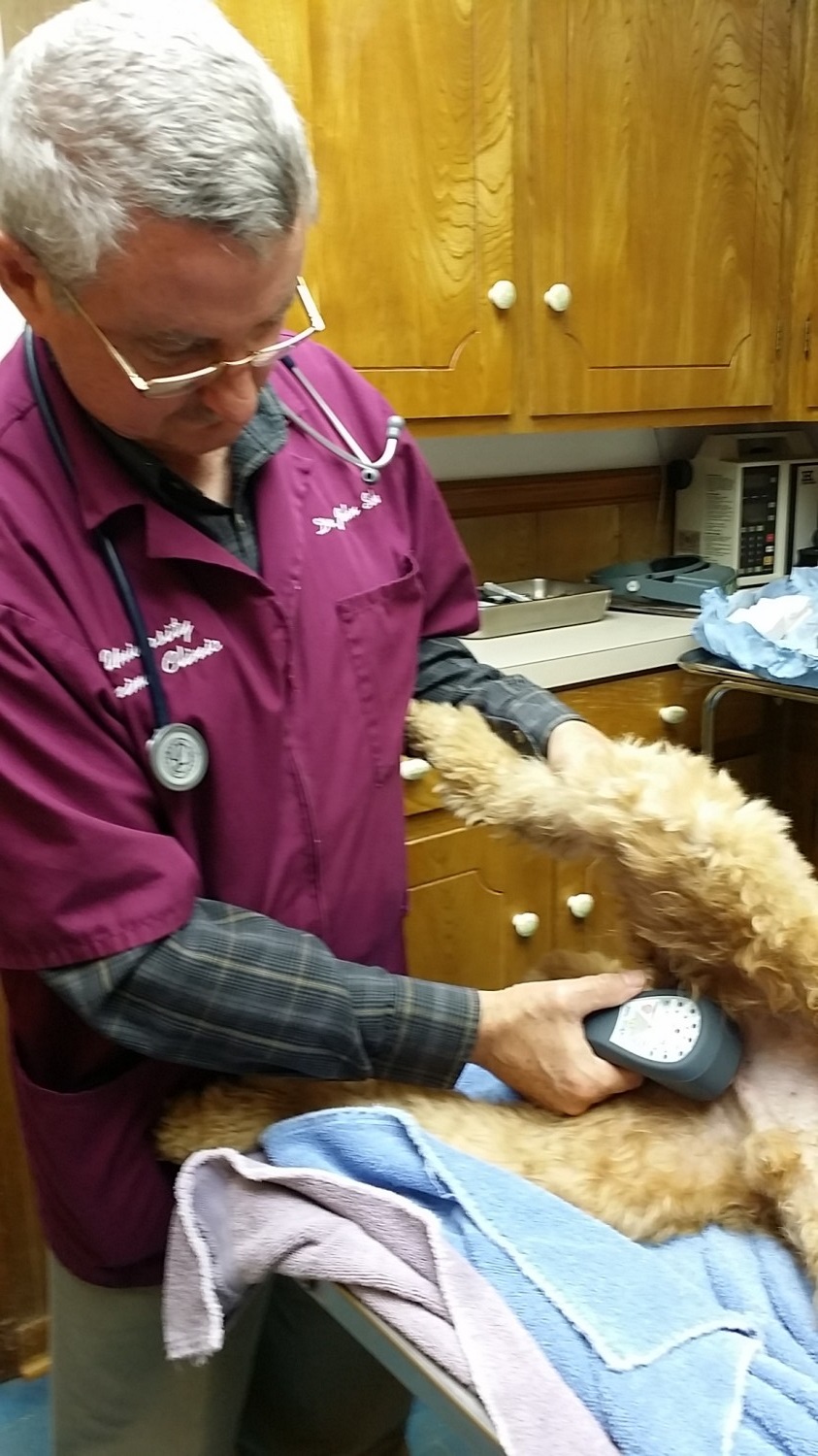 University Animal Clinic - Tyler TX - Dr. Schell 