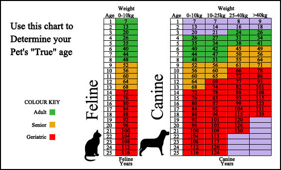 University Animal Clinic - Tyler TX - What's Your Pet's True age??