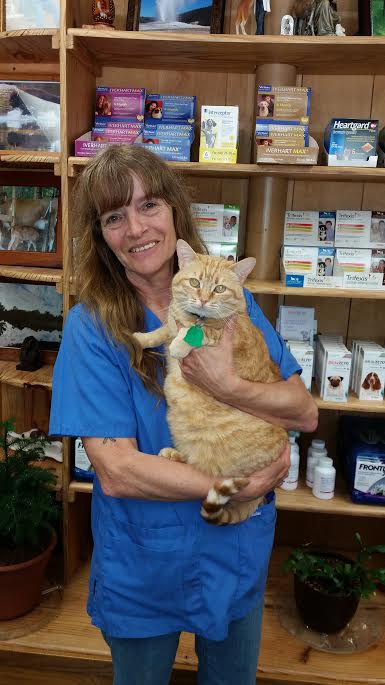 University Animal Clinic - Tyler TX - Our Groomer Marie University Animal Clinic - Tyler TX - Our Groomer Marie
