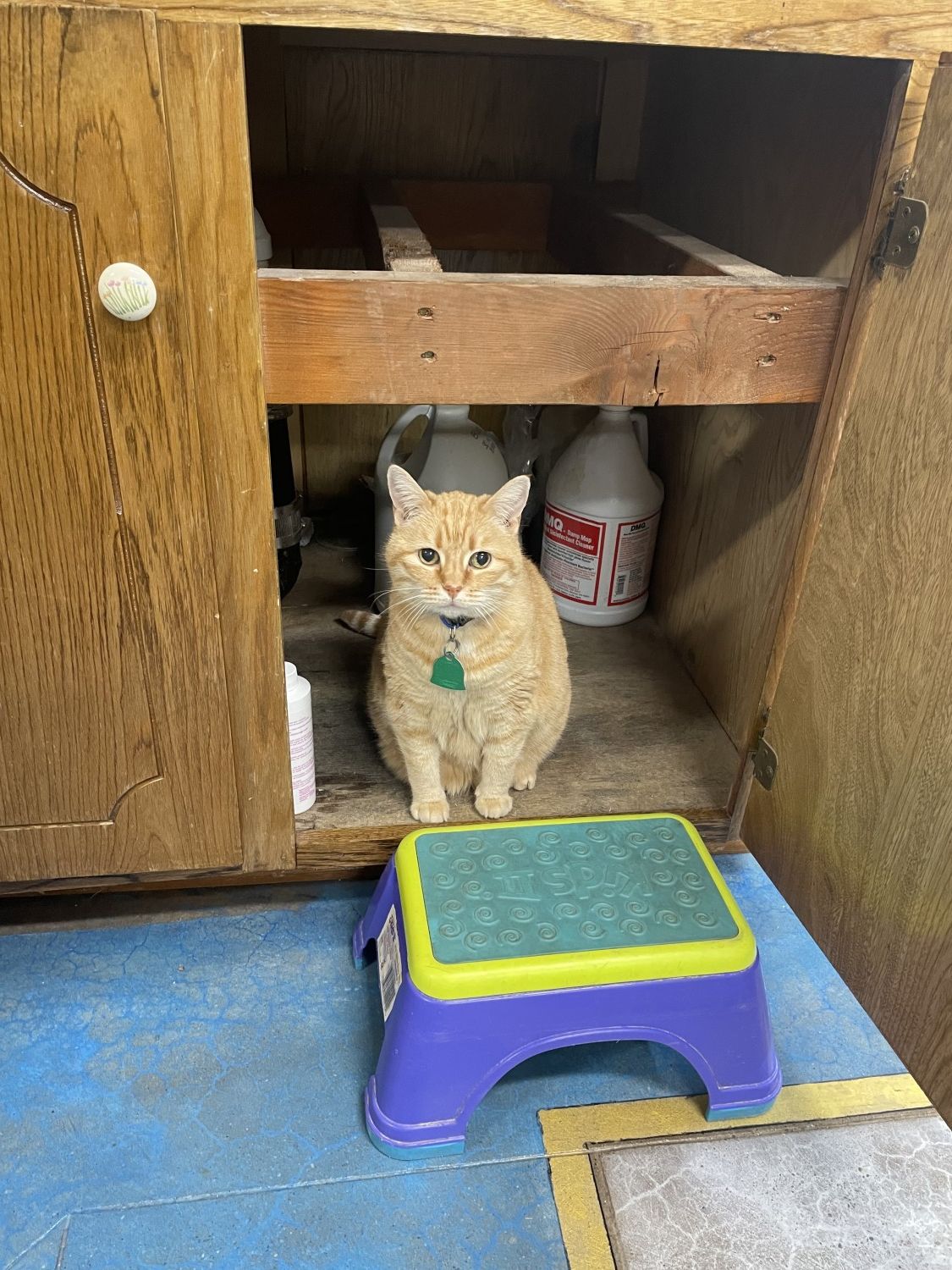 University Animal Clinic, Tyler, TX Our Doctor and Staff